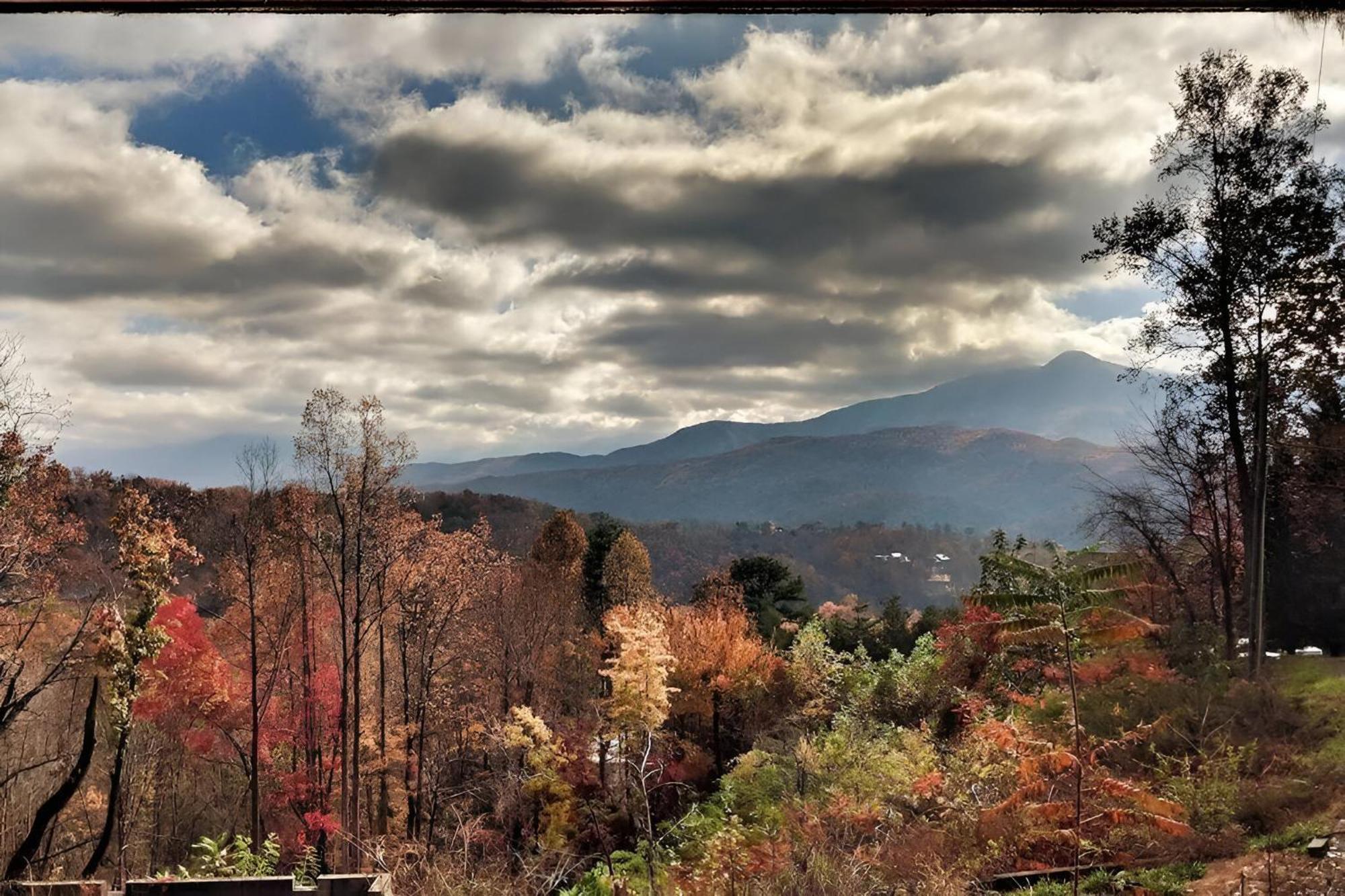 Prime Mountain Cabin - Near Galinburg Downtown Gatlinburg Exteriér fotografie